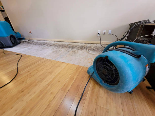 Professional Water Extraction technician working in Silver Lake, OH